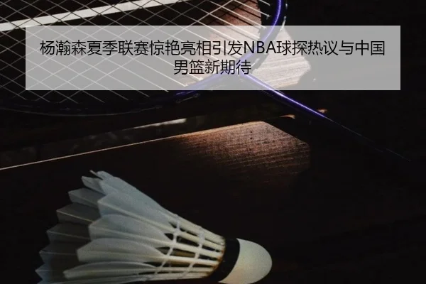 杨瀚森夏季联赛惊艳亮相引发NBA球探热议与中国男篮新期待