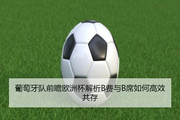 葡萄牙队前瞻欧洲杯解析B费与B席如何高效共存