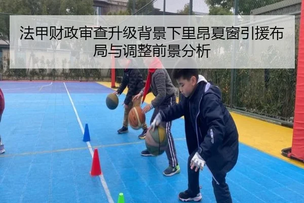 法甲财政审查升级背景下里昂夏窗引援布局与调整前景分析（kaiyun）