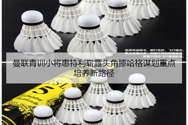 曼联青训小将惠特利崭露头角滕哈格谋划重点培养新路径（kaiyun）